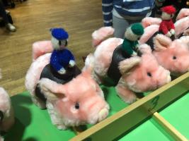 District Pig Race