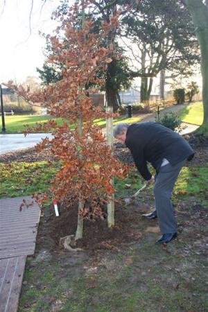 Tree planting People's Park