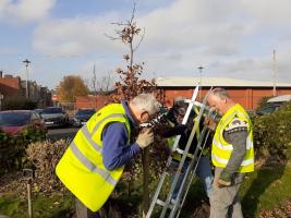 Tree planted to commemorate Queen Elizabeth II