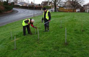 Plant a tree for the Jubilee