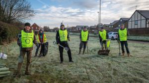 Tree Planting