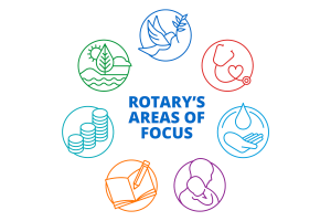 The Rotary Foundation