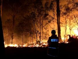 £1200 raised for Australian Wildlife group after Bushfires - Jan 2020