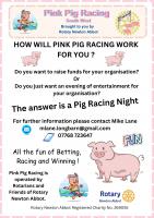 PINK PIG RACING