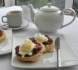 TOLDENE SUMMER TEA PARTY