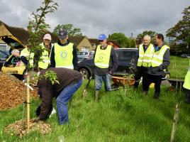 Mulching Project