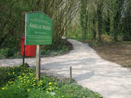 The entrance to Angus Wood
