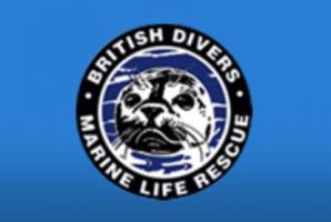 British Divers Marine Life Rescue