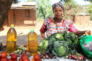 Lend with Care Microfinance