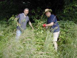 Dolgellau Rotary Community Peace Woodlands