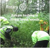 Environment - ongoing Seasonal Woodland project