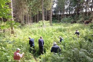 Clearing Himalayan Balsam