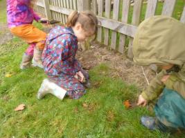 Crocus planting - Belsay School