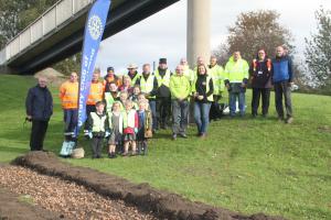 Planting of Crocus Bulbs