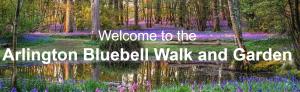 Arlington Bluebell Walk