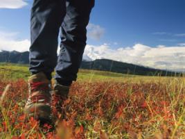 Walking boots