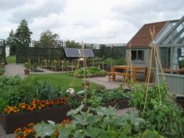 Visit to Brandon Village Community Garden