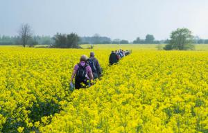 Country Spring Walk