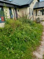 Gardening at Bronllys Hospital, Brecon