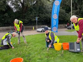 Eastleigh Rotary planting crocuses for End Polio Now Campaign