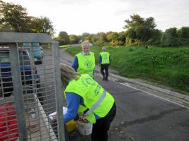 Bulb Planting A37