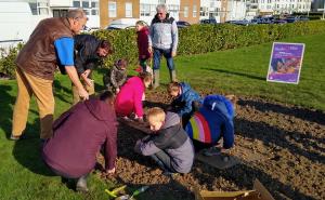 Planting Crocuses for Polio