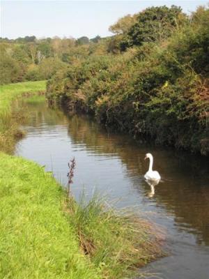 Views around the River Cober Valley