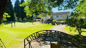 Charity Golf
