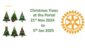Christmas Trees at the Portal 2024