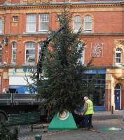 Erection of the Christmas Trees