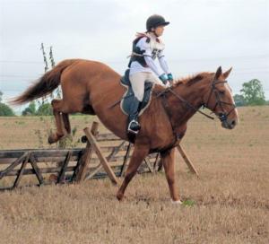 Pick-a-Fence Horse Trials