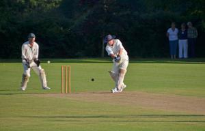 Annual Cricket Match