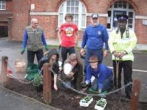 CROCUS PLANTING