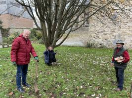 Crocus Planting at the Cathedral. Purple for Polio Campaign.