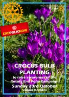 Crocus Bulb Planting (Date TBC)