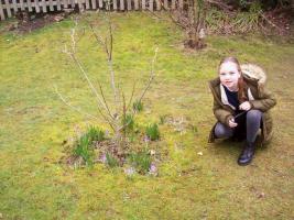 The Crocuses are out