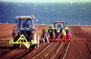 Tractor