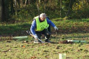 Tree Planting Project