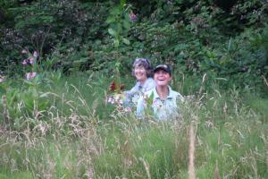 Balsam Picking