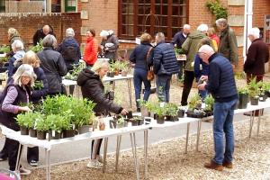 Plant Sale for Charity