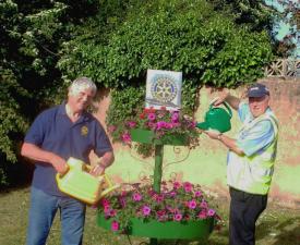 Ottery in Bloom