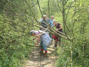 Suffolk Walk 2007