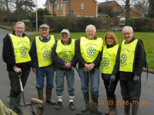 Nantwich Rotarians tree planting on Waterlode