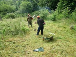 Millennium Green 2008