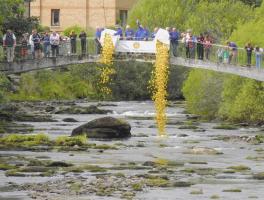 Rotary 2022 Duck Race - Online Duck Sales close at 12.00 on Saturday 28 May 2022  Ducks will be on sale at the river before the race which starts at 13.00
