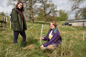 ​'CLITHEROE ROTARY WOOD’ ADDS TO TREES AT WADDOW HALL