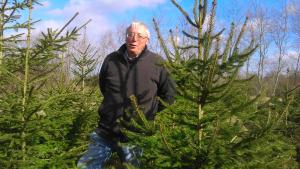Real Christmas Trees for sale - all proceeds to charity