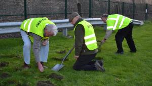 Volunteers from Gala in Bloom planting the bulbs