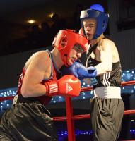 Campol Boxing