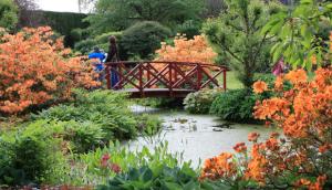 Dabton Open Gardens